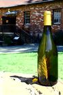 2011 White Pavone